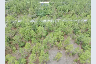 Sw Buena Vista Road, Dunnellon, FL 34431 - Photo 7
