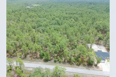Sw Buena Vista Road, Dunnellon, FL 34431 - Photo 3