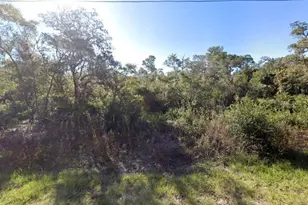 441 Vernon Ct, Kissimmee, FL 34759 - Photo 1