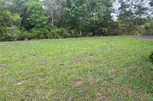 619 Hickory Ave, Orange City, FL 32763 - Photo 23