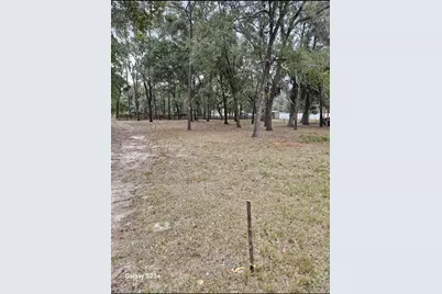 5463 E Tangelo Lane, Inverness, FL 34453 - Photo 3