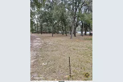5463 E Tangelo Lane, Inverness, FL 34453 - Photo 5