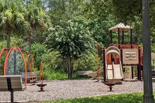 10799 Gran Paradiso Dr, Orlando, FL 32832 - Photo 9
