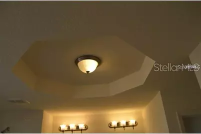 11848 Gray Rock Trail, Windermere, FL 34786 - Photo 11