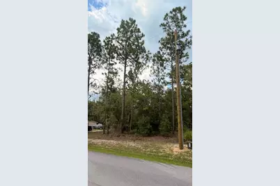 Sw 207th Court, Dunnellon, FL 34431 - Photo 5