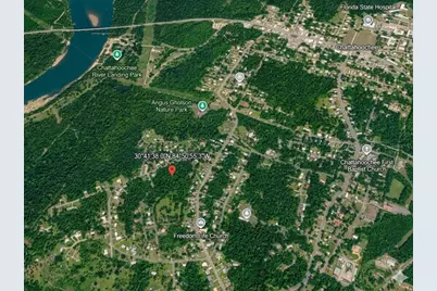Satsuma Rd, Chattahoochee, FL 32324 - Photo 5