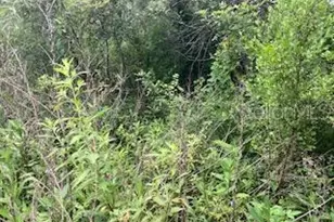 Sweetwater Trail, Kissimmee, FL 34747 - Photo 1