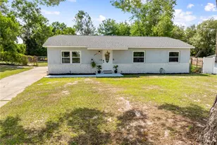 463 Chestnut Ct, Deltona, FL 32725 - Photo 29