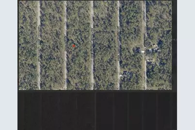 0 NW Alvarez Rd N NW Alvarez Rd Highway, Dunnellon, FL 34431 - Photo 5