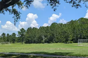 3214 Needlegrass Ln, Harmony, FL 34773 - Photo 65