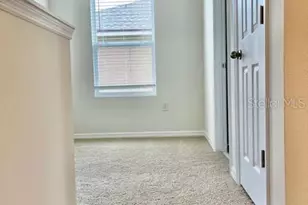 11942 Dune Aly, Orlando, FL 32832 - Photo 13