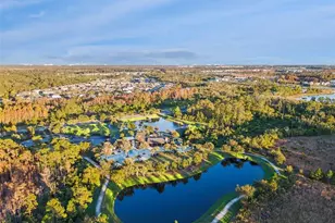 2937 Deerberry Ln, Clermont, FL 34714 - Photo 33