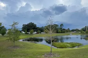 4387 Creek Cv Ln, Kissimmee, FL 34744 - Photo 27