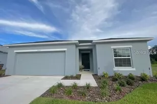 3992 Fescue St, Clermont, FL 34714 - Photo 3