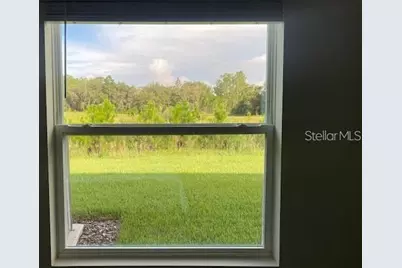 3992 Fescue Street, Clermont, FL 34714 - Photo 21