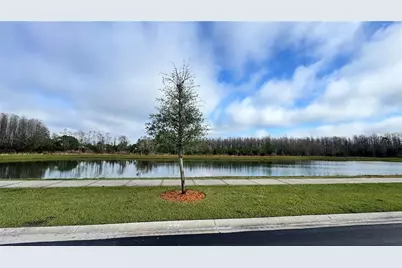 3182 Eagle Hammock Circle, Kissimmee, FL 34743 - Photo 11