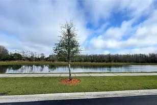 3182 Eagle Hammock Cir, Kissimmee, FL 34743 - Photo 11