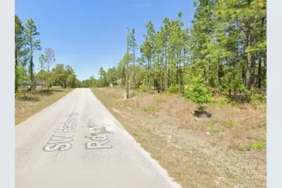 Sw Harbor Hills Rd, Dunnellon, FL 34431 - Photo 3
