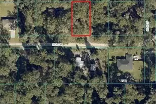 Undetermined, Summerfield, FL 34491 - Photo 1