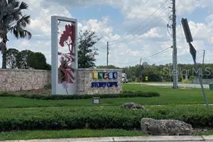 4258 Twisted Twig Bnd, Kissimmee, FL 34746 - Photo 33