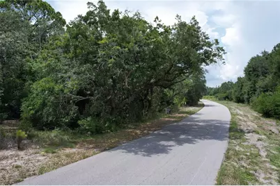 1008 Wildflower Street, Lake Placid, FL 33852 - Photo 3