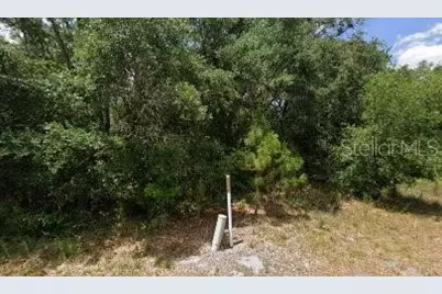 1008 Wildflower Street, Lake Placid, FL 33852 - Photo 7