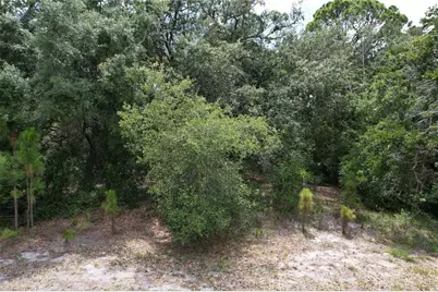 1008 Wildflower Street, Lake Placid, FL 33852 - Photo 1