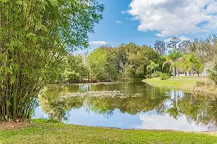 4205 Mast Ct, Land O Lakes, FL 34639 - Photo 43