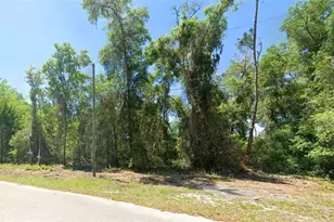 4362 E Mate Ln, Hernando, FL 34442 - Photo 1