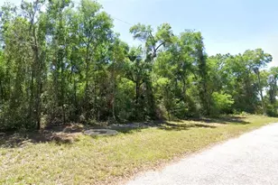 4374 E Mate Ln, Hernando, FL 34442 - Photo 1