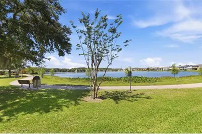 10546 Green Ivy Lane, Orlando, FL 32832 - Photo 47