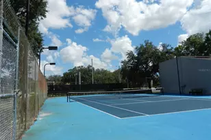 4013 Dream Oak Pl, Tampa, FL 33613 - Photo 23