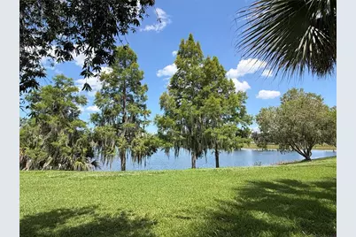 2316 Palm Tree Drive, Kissimmee, FL 34759 - Photo 3