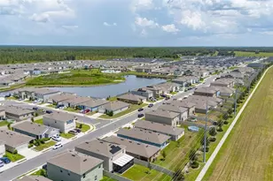 2842 Waterlily Wy, Kissimmee, FL 34759 - Photo 49