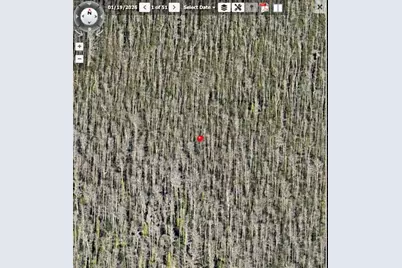 Holopaw Groves Road #Lot 125 & 126, Saint Cloud, FL 34773 - Photo 13