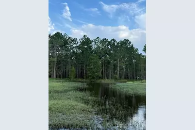 Holopaw Groves Road #Lot 125 & 126, Saint Cloud, FL 34773 - Photo 5