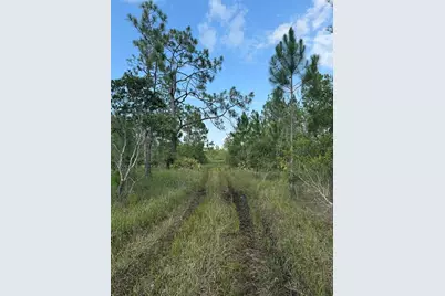 Holopaw Groves Road #Lot 125 & 126, Saint Cloud, FL 34773 - Photo 3
