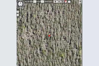 Holopaw Groves Road #Lot 99 & 100, Saint Cloud, FL 34773 - Photo 13