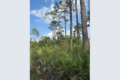Holopaw Groves Road #Lot 99 & 100, Saint Cloud, FL 34773 - Photo 7