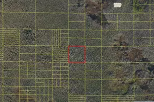 Holopaw Groves Rd, Saint Cloud, FL 34773 - Photo 1