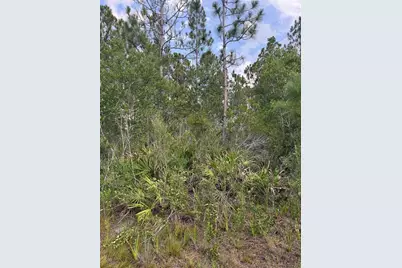 Holopaw Groves Road #Lot 99 & 100, Saint Cloud, FL 34773 - Photo 9