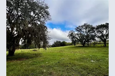Micro Racetrack Road, Fruitland Park, FL 34731 - Photo 5