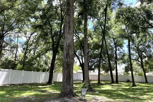 36320 Piney Ridge Blvd, Fruitland Park, FL 34731 - Photo 41
