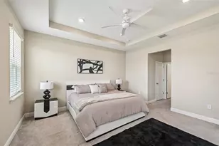 178 Mangrove Manor Dr, Apollo Beach, FL 33572 - Photo 17