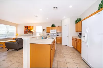 385 Orange Cosmos Boulevard, Davenport, FL 33837 - Photo 9