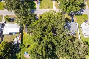 3613 Amigos Ave, Orlando, FL 32808 - Photo 9