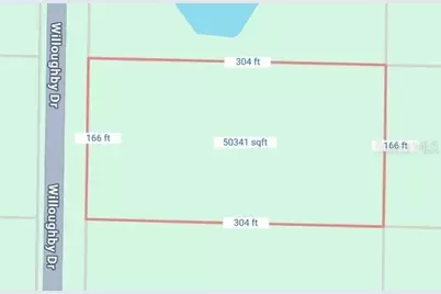 7352 Willoughby Drive, Ridge Manor Estates, FL 33597 - Photo 3