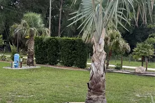2485 SE 174th Pl, Summerfield, FL 34491 - Photo 5