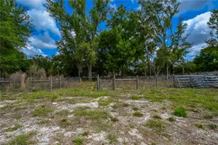 7457 NE Hwy 349, Old Town, FL 32680 - Photo 21