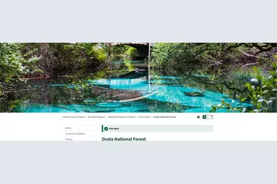 69 SE, Ocklawaha, FL 32179 - Photo 3